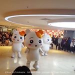 offi인형탈