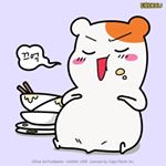 offi대지츄