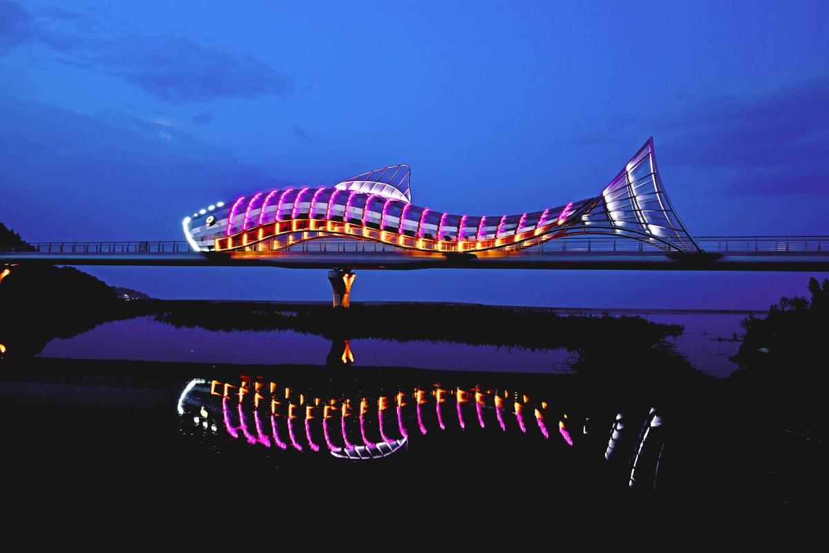 night_fish